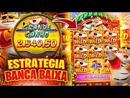 spicy bet casino link Cartaz