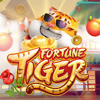 melhor horário para jogar fortune tiger hoje 2024 ícone